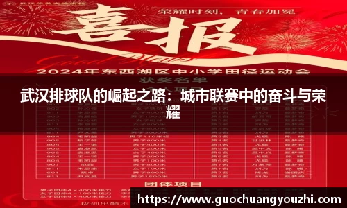 武汉排球队的崛起之路：城市联赛中的奋斗与荣耀